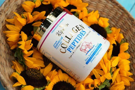 Türkiye’nin 1 Numaralı Öncü Toz Kolajen Markası: Kiperin Collagen