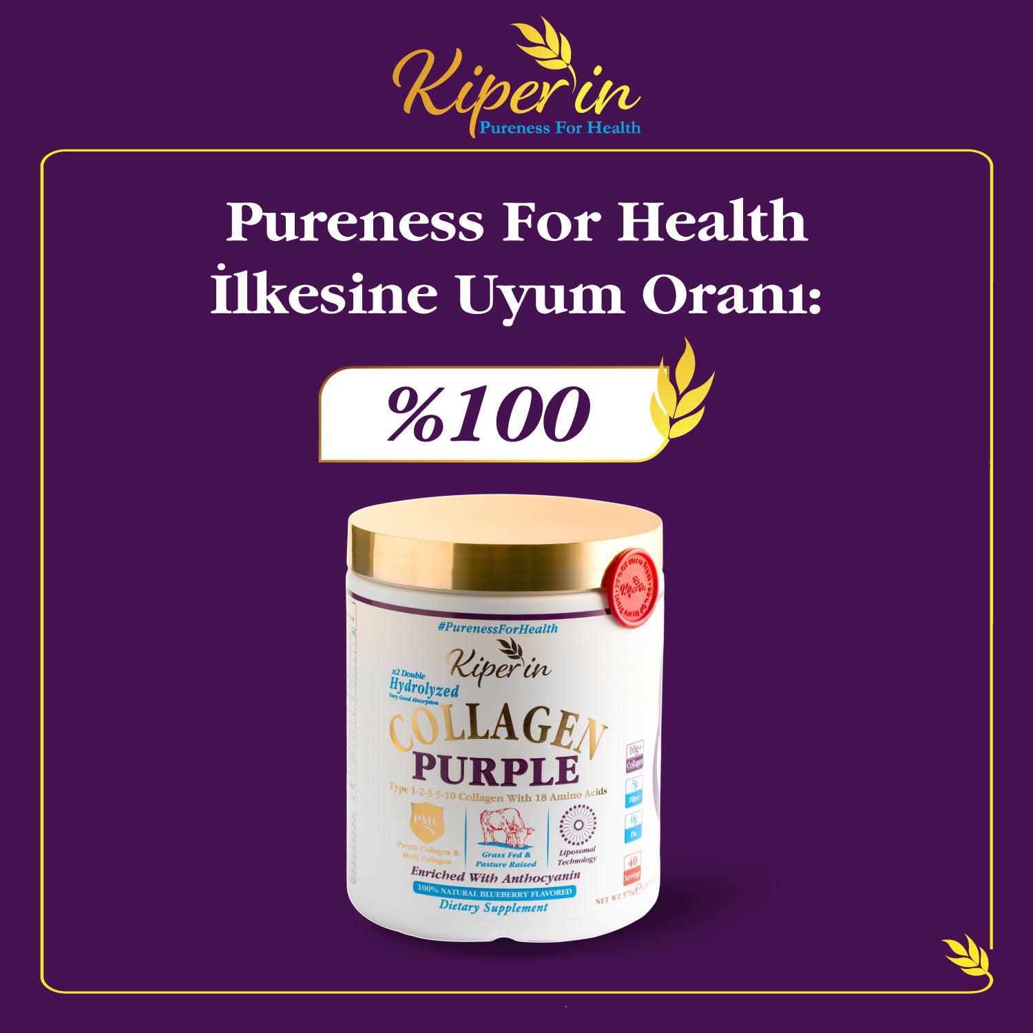 Kiperin Purple Collagen (576gr) Liposomal Technology Food Supplement Containing 100% Pure and Natural Purple &amp; Multiple Collagen Peptides