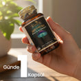 Load image into Gallery viewer, Kiperin Shenmush – AHCC, Reishi, Shiitake, Lion’s Mane & Agaricus – 30 Capsules
